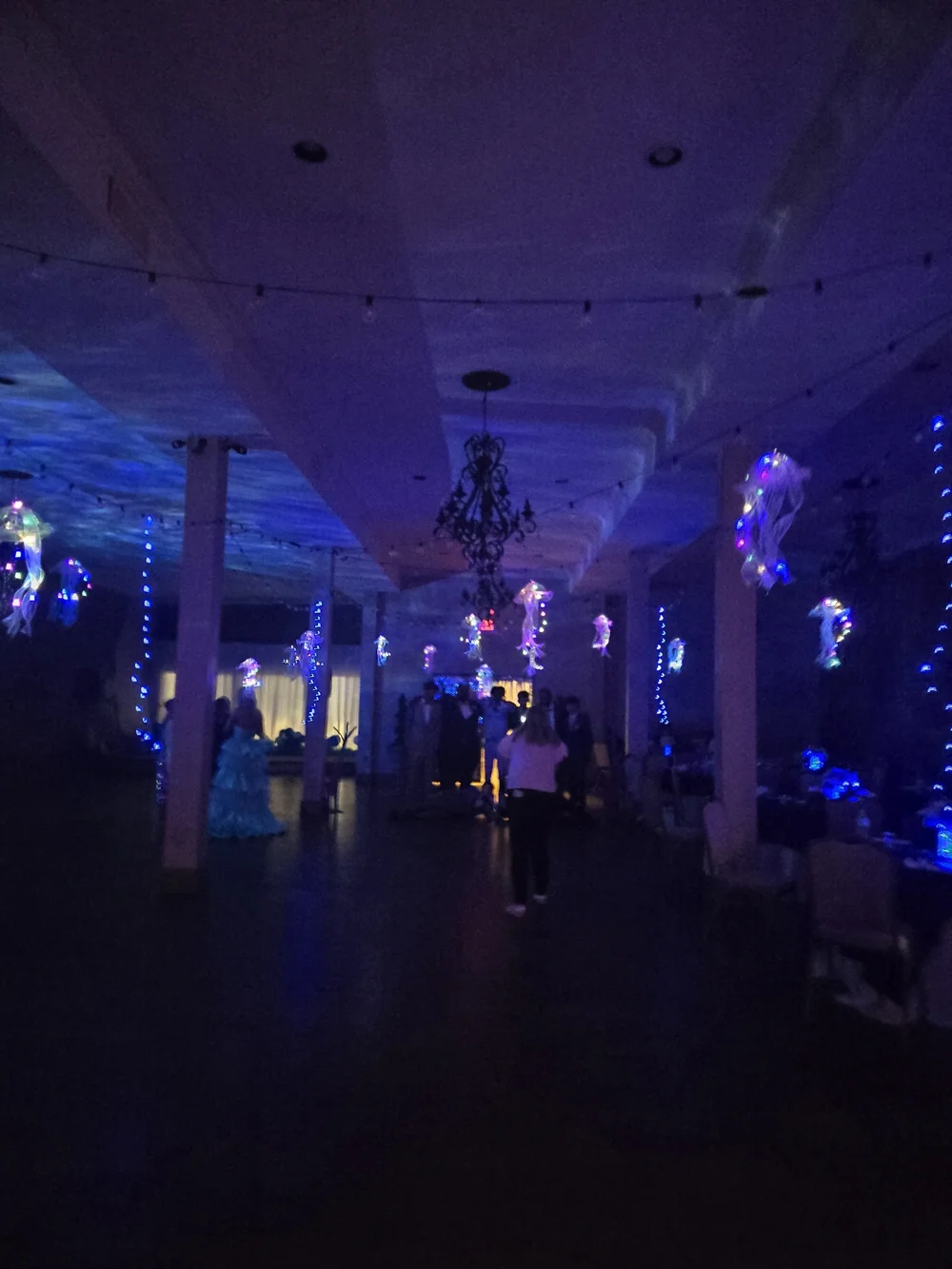 LED Jellyfish Hanging Party Lights - Multicolor
